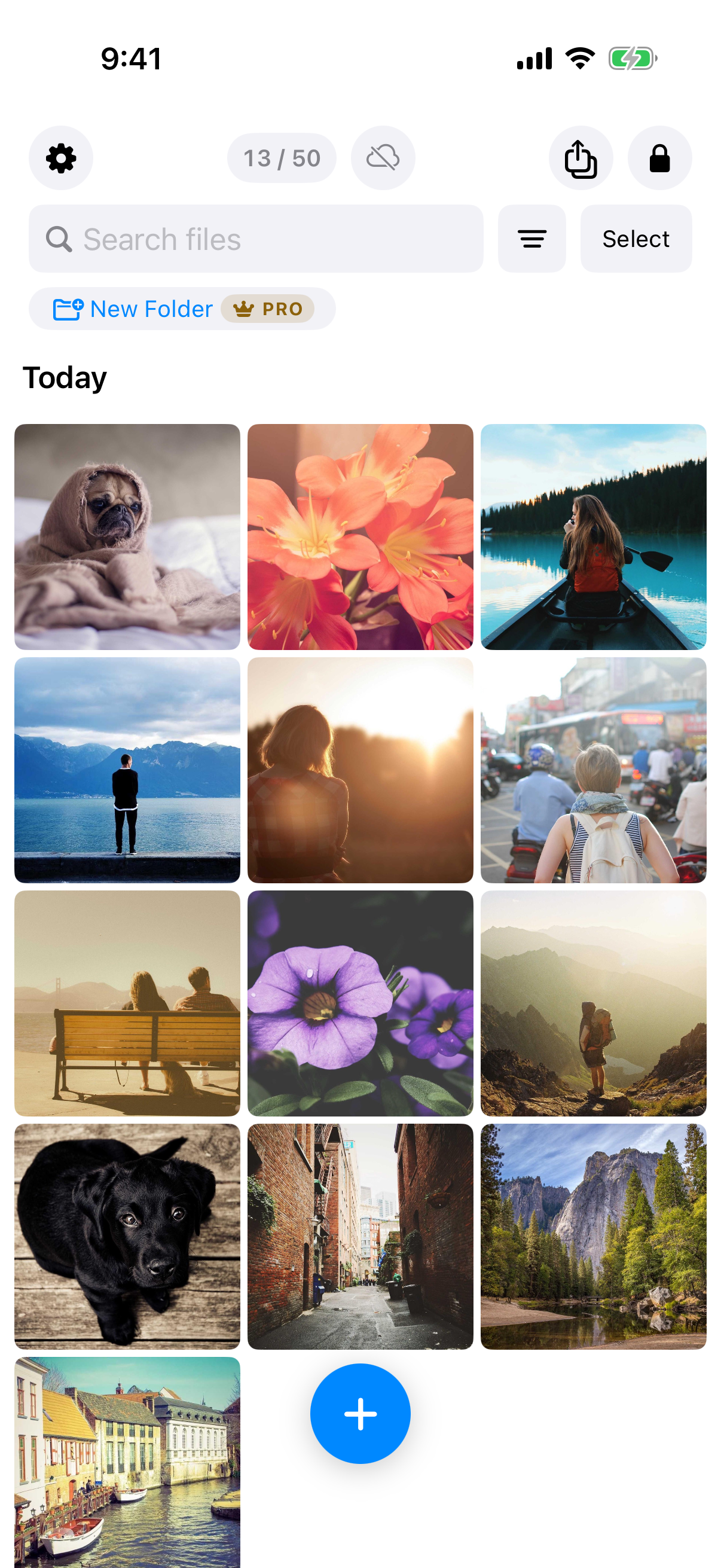 Weave Vault gallery on the free tier showing a 13 / 50 file counter above a grid of photos