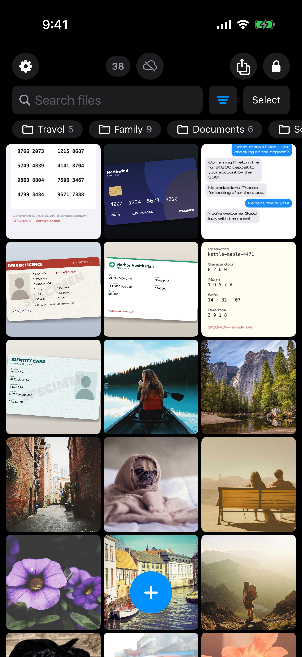 Weave Vault grid of sample IDs, a bank card, a chat receipt and photos, with Travel, Family and Documents folders